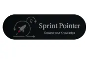 Sprint Pointer
